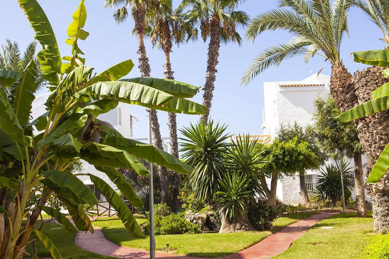 A 100M De Playa Piscina Y Todos Los Servicios Apartment Torrox Exterior photo